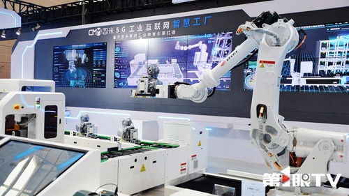 重慶第1眼 2025智博會以智提質(zhì)，開啟智能技術(shù)新篇章